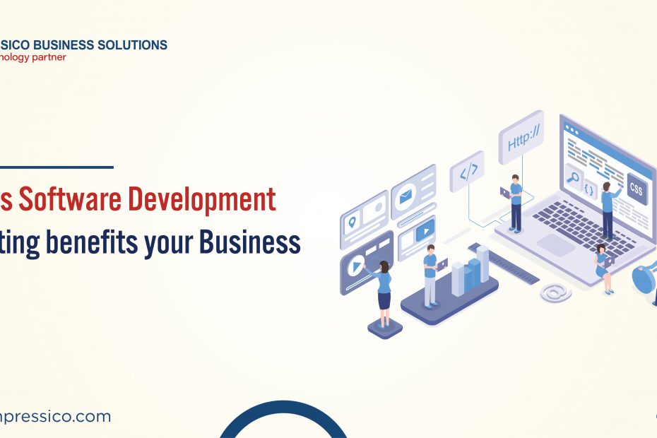 Software development consulting services